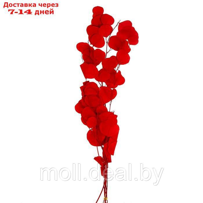Сухоцвет персикого дерева , 50 гр, длина 70 см, цвет, цвет красный - фото 1 - id-p219014674