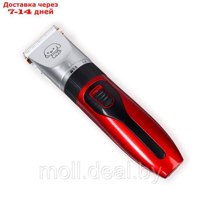 Машинка для стрижки с керамическим лезвием, регулировка ножа, USB-зарядка красная - фото 1 - id-p219014712