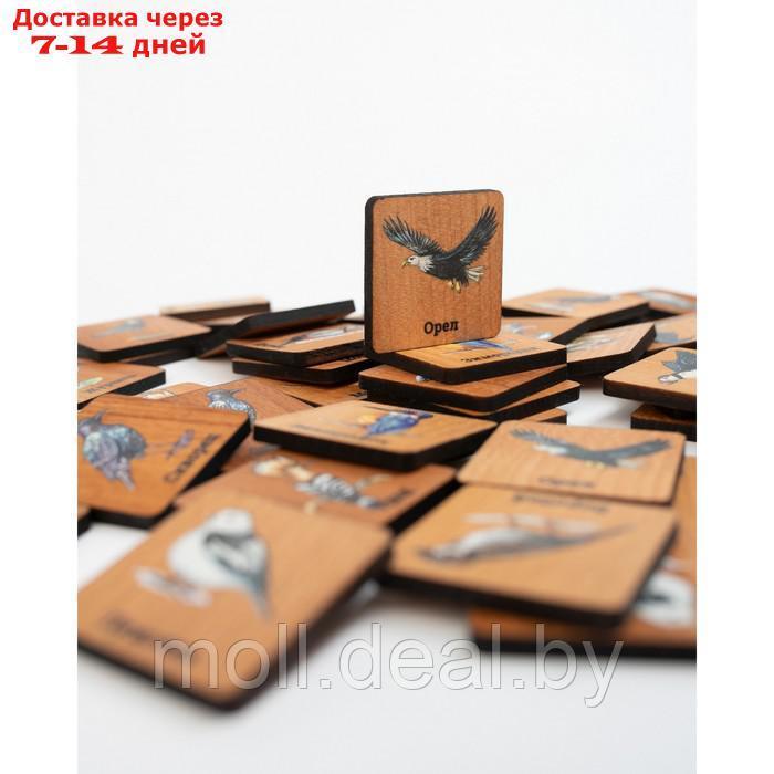 Мемори "Птицы" в картонной коробочке - фото 2 - id-p219013744
