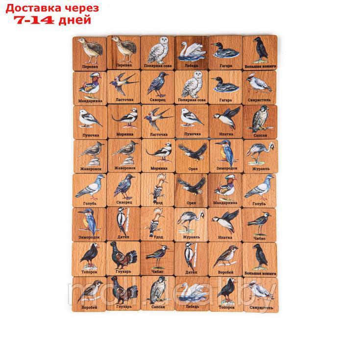 Мемори "Птицы" в картонной коробочке - фото 3 - id-p219013744