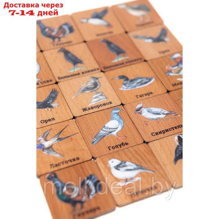 Мемори "Птицы" в картонной коробочке - фото 4 - id-p219013744