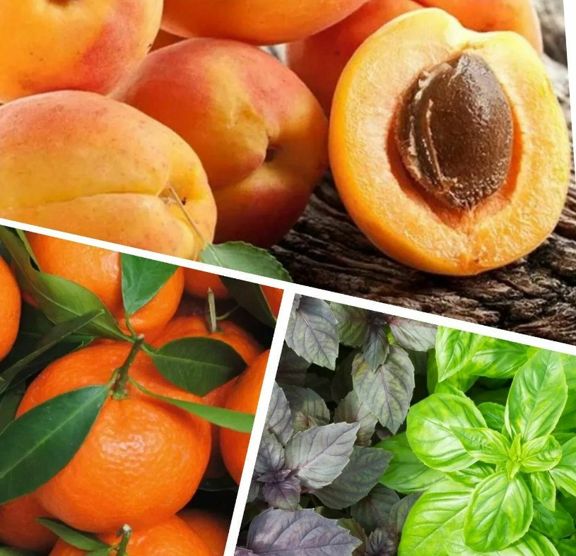 Отдушка КЕМА Абрикос, базилик, мандарин 50гр