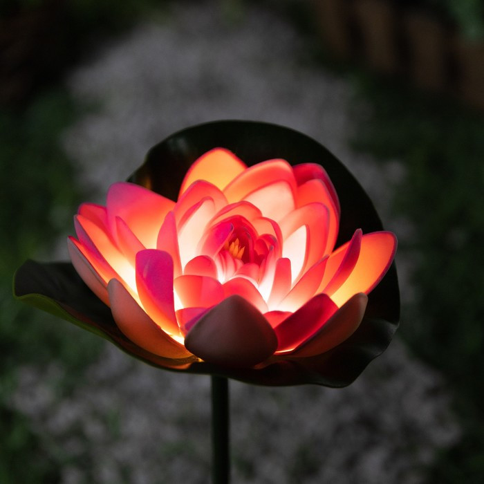 Садовый светильник на солнечной батарее «Лотос», 70 см, 1 LED, свечение тёплое белое - фото 1 - id-p219048502