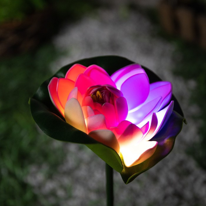 Садовый светильник на солнечной батарее «Лотос», 70 см, 1 LED, свечение мульти (RGB) - фото 1 - id-p219048503