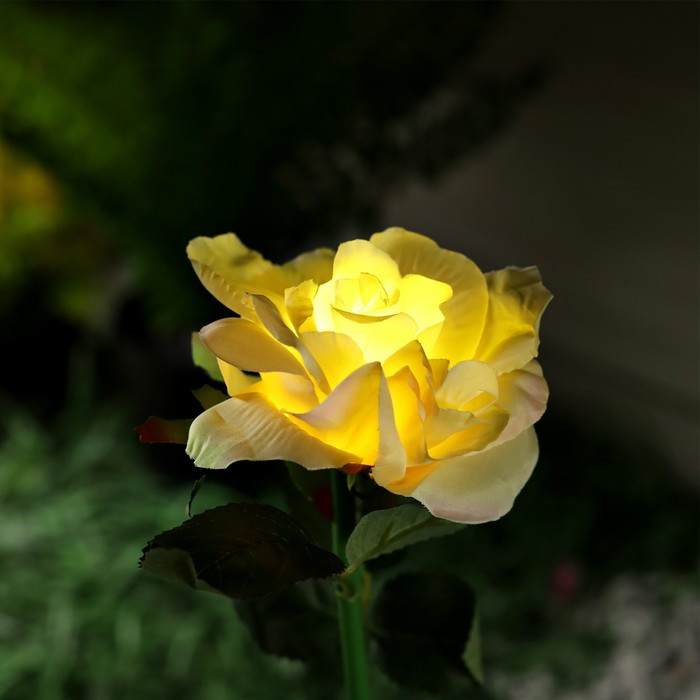 Садовый светильник на солнечной батарее «Роза жёлтая», 75 см, 5 LED, свечение белое - фото 4 - id-p219048538