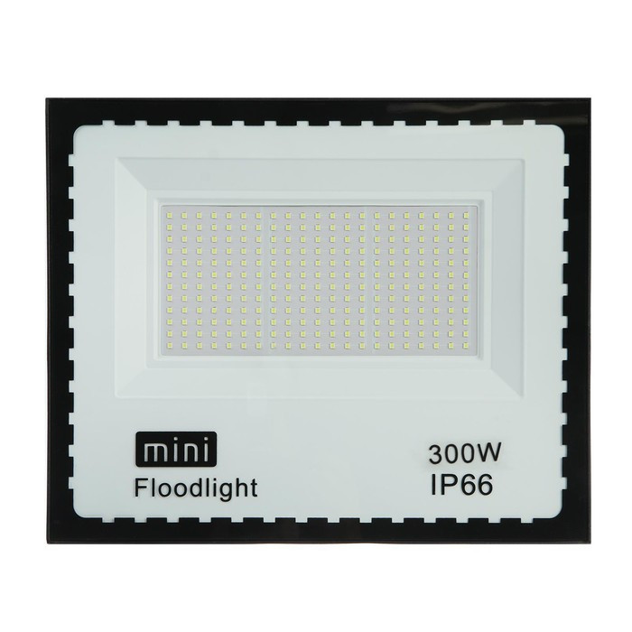 Прожектор светодиодный, 300 Вт, 23100 Лм, 6500К, IP66, 220V - фото 2 - id-p219048564