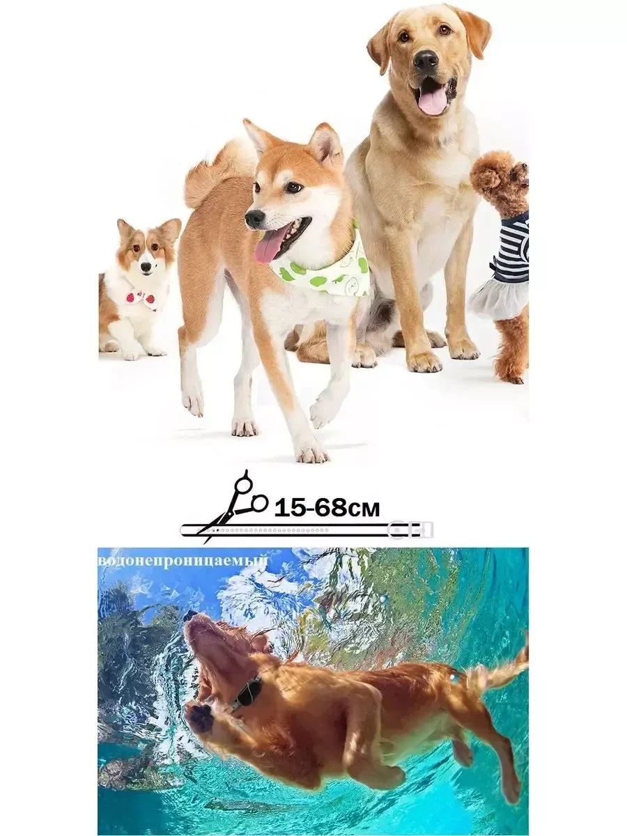 Электронный стильный ошейник HappyLion для собак с пультом - фото 7 - id-p219050057