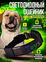 Электронный светящийся ошейник для собак с дисплеем / Светодиодный ошейник с Led экраном