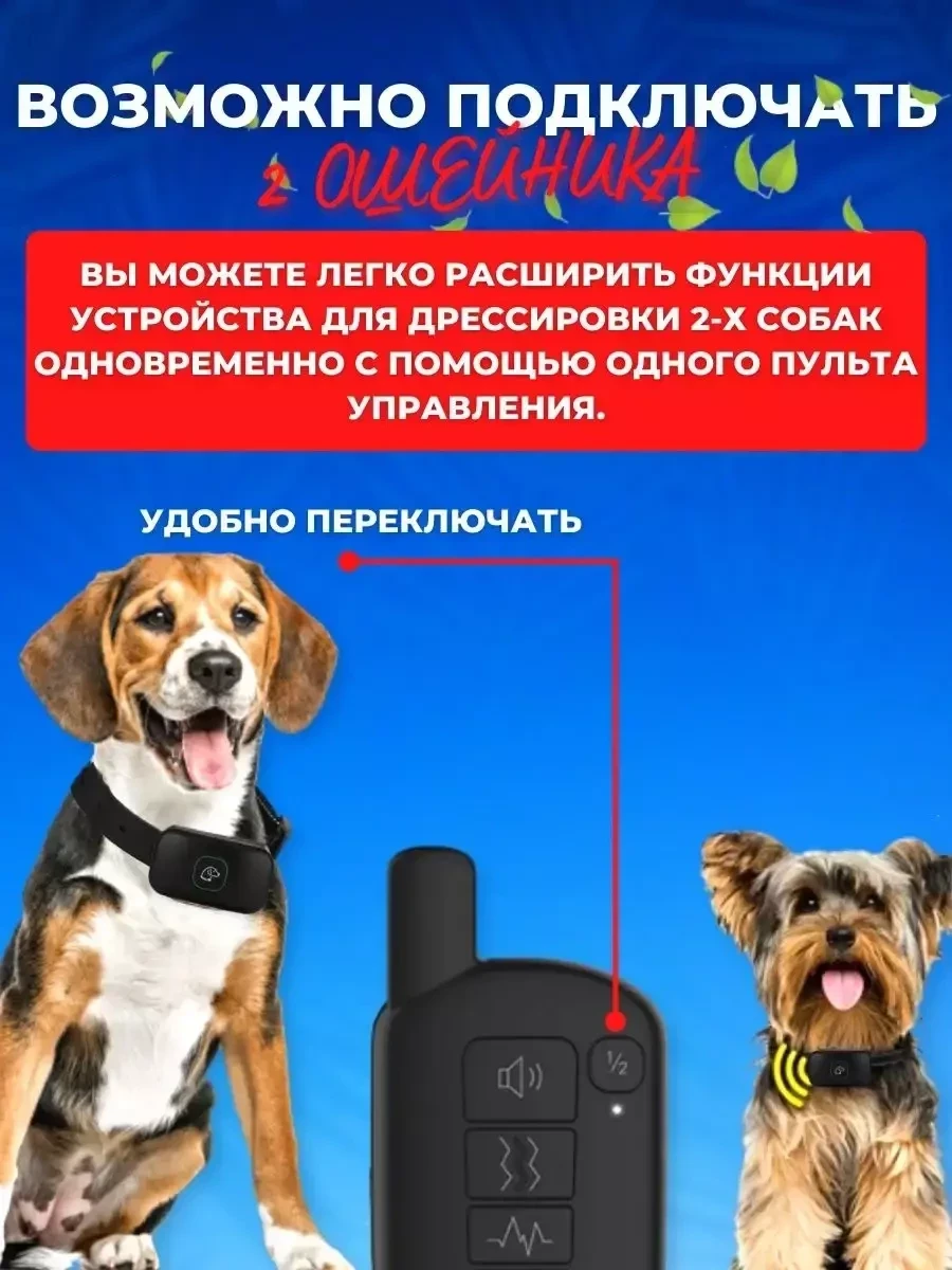 Электронный ошейник для дрессировки собак Toothy Friend - фото 4 - id-p219051503