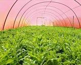 Сотовый поликарбонат 4мм "GREENHOUSE-NANO", плотность 0,6 кг/м2, фото 4