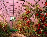 Сотовый поликарбонат 4мм "GREENHOUSE-NANO", плотность 0,6 кг/м2, фото 5