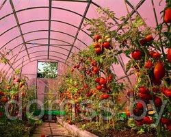 Сотовый поликарбонат 4мм "GREENHOUSE-NANO", плотность 0,6 кг/м2 - фото 5 - id-p2827858