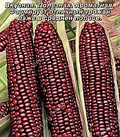 Кукуруза сахарная Красотка, семена, 5шт., (аэ)