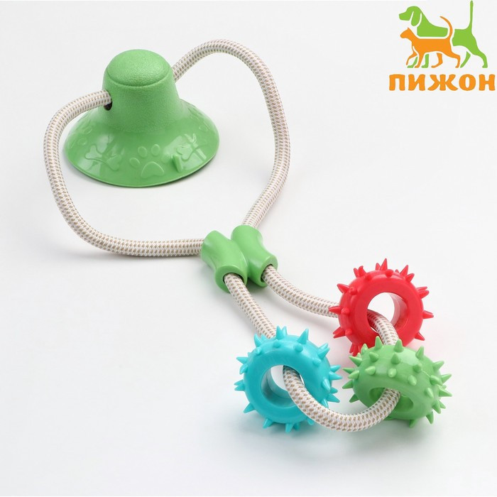 Игрушка для собак "Кольца с шипами на присоске", 40 см, зелёная/голубая/красная - фото 1 - id-p219070337
