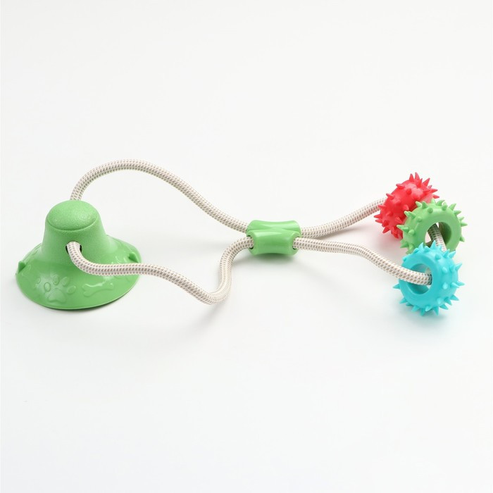 Игрушка для собак "Кольца с шипами на присоске", 40 см, зелёная/голубая/красная - фото 4 - id-p219070337