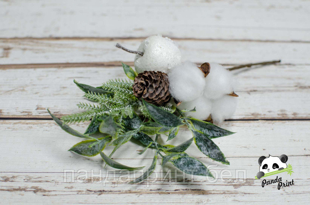 Ветка белая, Яблоко с хлопком, фото 1