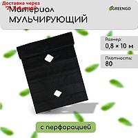 Материал мульчирующий, с перфорацией, 0,8 × 10 м, плотность 80, с УФ-стабилизатором, чёрный, Greengo, Эконом