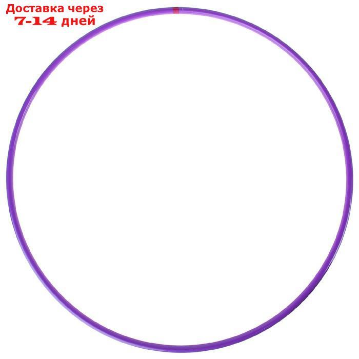 Обруч профессиональный для художественной гимнастики, дуга 18 мм, d=65 см, цвет фиолетовый - фото 2 - id-p219074234
