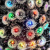 Искусственная светящаяся елка со свездой, Новогодняя светодиодная Елка 90 cм, фото 5