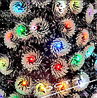 Искусственная светящаяся елка со свездой, Новогодняя светодиодная Елка 120 cм, фото 5