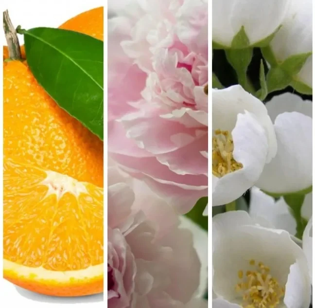 Отдушка КЕМА Апельсин, жасмин и белый мускус 50гр