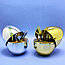Набор столовых приборов в Яйце - подставке Miniegg 12 предметов Золото, фото 5