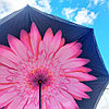 NEW Зонт наоборот двухсторонний UpBrella (антизонт) / Умный зонт обратного сложения Розовый цветок, фото 3