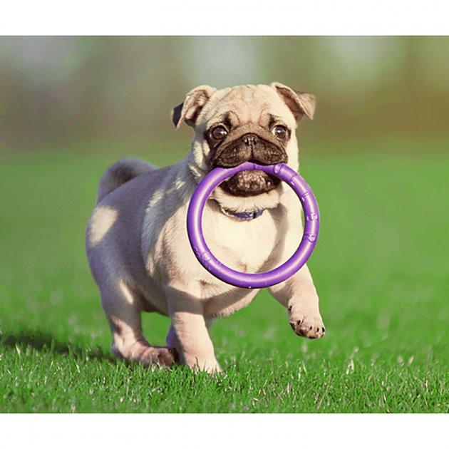 Игрушка CoLLaR для собак мелких пород PULLER MINI, 18 см - фото 4 - id-p219213289