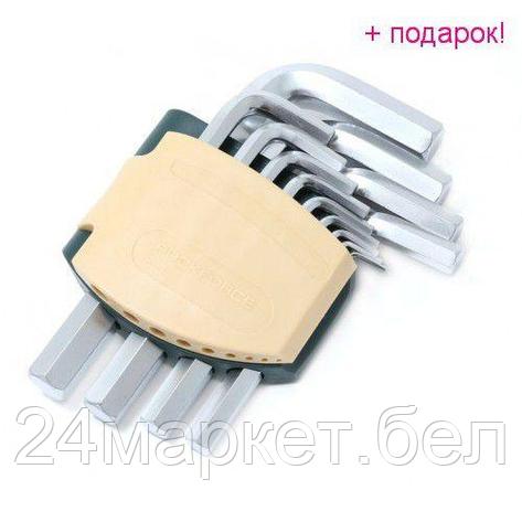 Набор ключей 6-гранных Г-образных 13пр. (2, 2.5, 3-8, 10, 12, 14, 17, 19мм)в пластиковом держателе RF-5137, фото 2