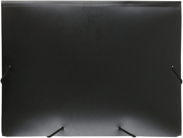Папка пластиковая на резинке Buro толщина пластика 0,5 мм, черная - фото 2 - id-p219247663