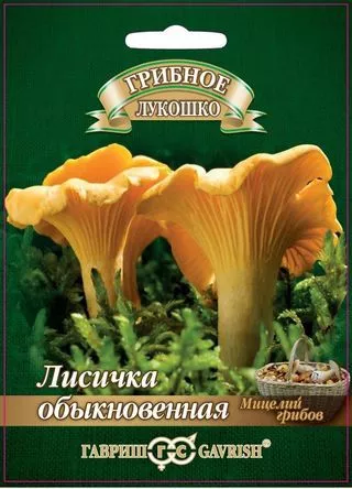 Мицелий грибов Лисичка на зерновом субстрате 15мл Гавриш - фото 1 - id-p219234327