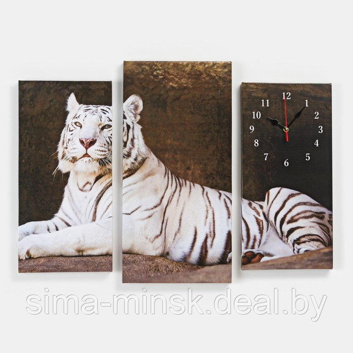 Часы настенные, модульные, серия: Животный мир, "Белый тигр", 60х80 см - фото 1 - id-p219253962