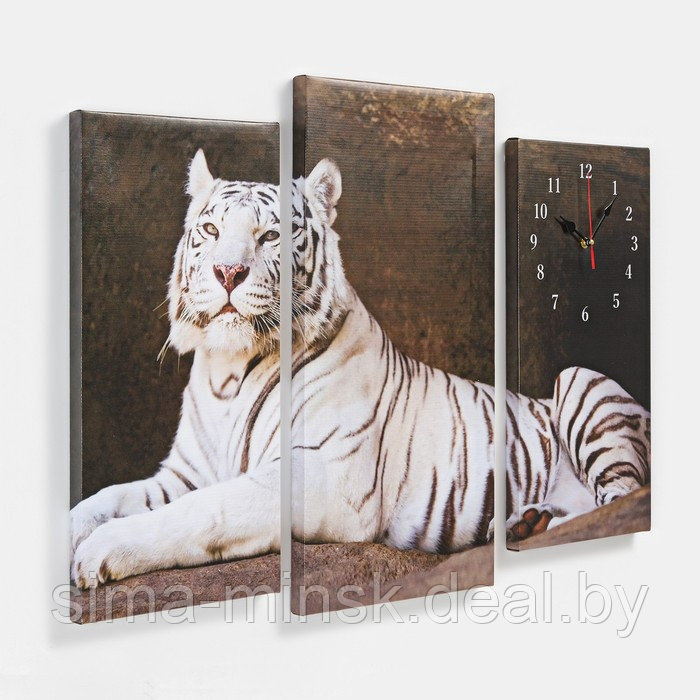 Часы настенные, модульные, серия: Животный мир, "Белый тигр", 60х80 см - фото 2 - id-p219253962