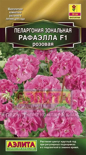 Пеларгония Рафаэлла розовая F1 5шт Аэлита - фото 1 - id-p219234344