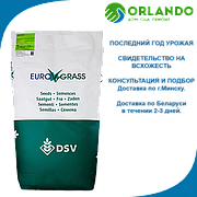 DSV Ornamental 10кг ДСВ Орнаментал