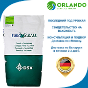 Газонная трава Euro grass DSV Universal Lawn 10кг Универсальная ДСВ Еврограсс