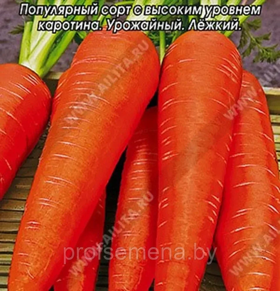 Морковь Лосиноостровская 13, семена, 2гр., (аэ)