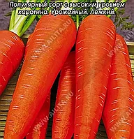 Морковь Лосиноостровская 13, семена, 2гр., (аэ)