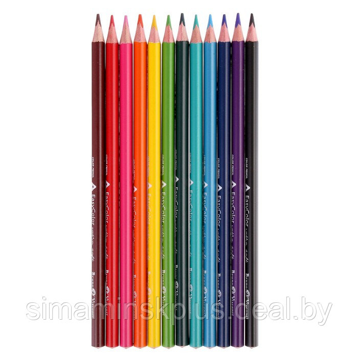 Карандаши 12 цветов Easycolor в металлической коробке с ложементом - фото 3 - id-p219320240