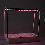 Фитосветильник светодиодный Uniel, 10 Вт, 540 мм, IP20, мультиспектр., набор для гидропоники, фото 8