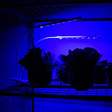 Фитосветильник светодиодный, 20 Вт, 120 мм, IP20, мультиспектральный, "Ecotec", фото 5