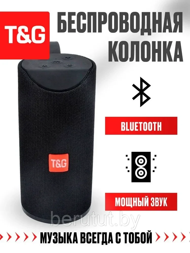 Колонка портативная музыкальная Bluetooth TG-113 - фото 1 - id-p214277229