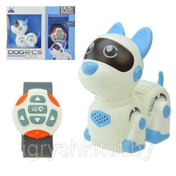 Робот "Собака" на пульте управления в виде часов, 2 цвета, арт.626-2