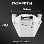 Счетчик газа СГМН-МТ-G6 (левый), фото 2
