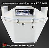 Счетчик газа СГМН-МТ-G6 (левый), фото 3