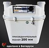 Счетчик газа СГМН-МТ1-G4 (левый), фото 2