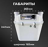Счетчик газа СГМН-МТ1-G4 (левый), фото 3