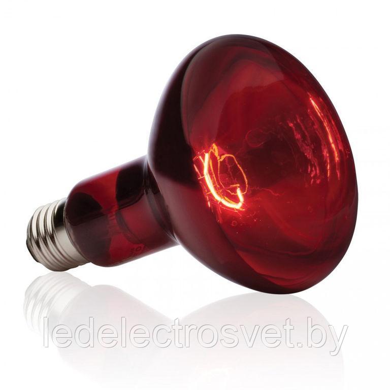 Лампа инфракрасная зеркальная ИКЗК 100Вт R93 E27 (Излучатель тепловой)