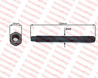 Шпилька крепления ГБЦ R190/190N (4 шт)