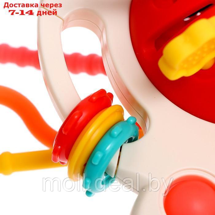 Развивающяя игрушка "Осьминожка" цвет МИКС - фото 9 - id-p219448120